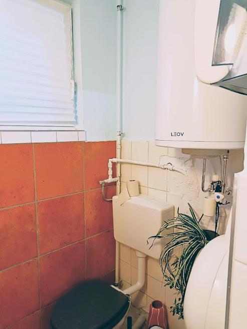 Lounge-Style-Hostel زانكت فايت أن دير غلان المظهر الخارجي الصورة
